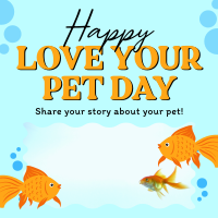 Bubbly Pet Day Instagram post Image Preview