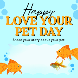 Bubbly Pet Day Instagram Post Image Preview