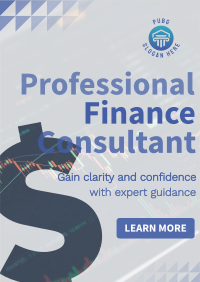 Professional Finance Consultant Poster Design