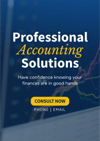 Professional Accounting Solutions Flyer Image Preview