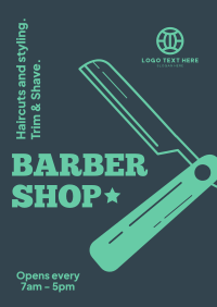 Haircuts and Styling Poster Preview
