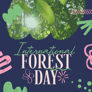 Doodle Shapes Forest Day Instagram post Image Preview