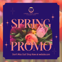 Contemporary Spring Promo Instagram Post Preview