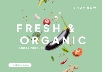 Organic Fresh Postcard Design