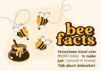 Honey Bee Facts Postcard Image Preview