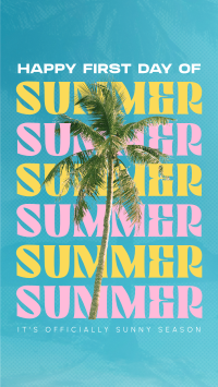 Summer Palm Tree Facebook story Image Preview