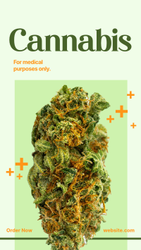 Medicinal Cannabis Instagram Reel Design