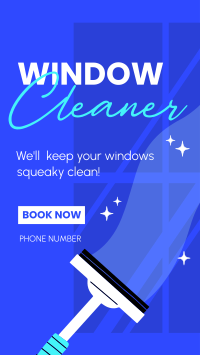 Squeaky Clean Windows TikTok video Image Preview