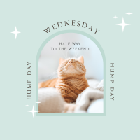 Wednesday Hump Day Instagram post Image Preview