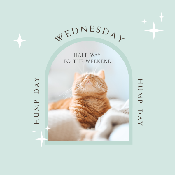 Wednesday Hump Day Instagram Post Design Image Preview
