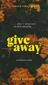 Amazing Giveaway TikTok video Image Preview