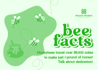 Honey Bee Facts Postcard Image Preview