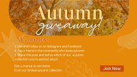 Autumn Leaves Giveaway Video Design