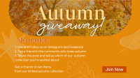 Autumn Leaves Giveaway Video Image Preview