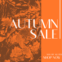 Autumn Leaves Sale Instagram post Image Preview