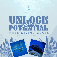 Free Diving Class Linkedin Post Preview