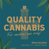 Quality Cannabis Plant Instagram post Image Preview