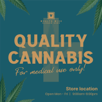 Quality Cannabis Plant Instagram post Image Preview