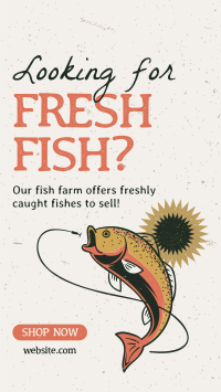 Fresh Fish Farm Instagram story Image Preview