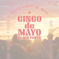 Cinco De Mayo Block Party Instagram Post Design