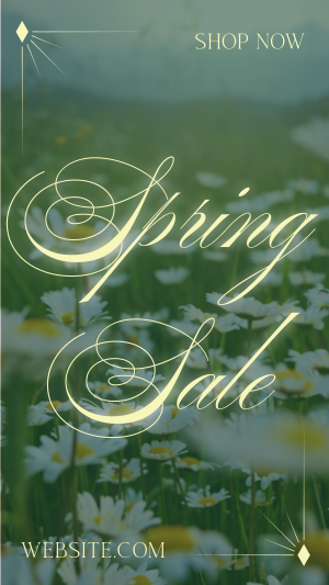 Spring Sale Facebook story Image Preview