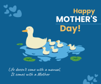 Mother Duck Facebook post Image Preview