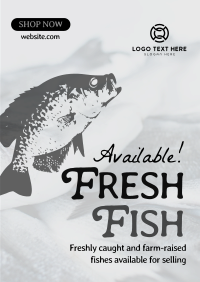 Fresh Fishes Available Poster Design