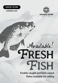 Fresh Fishes Available Poster Image Preview