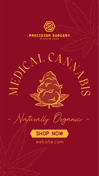 Cannabis Therapy TikTok Video Image Preview