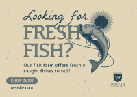 Fresh Fish Farm Postcard Design