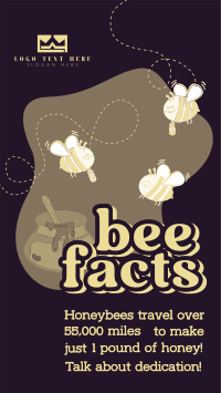Honey Bee Facts TikTok video Image Preview