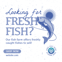 Fresh Fish Farm Instagram post Image Preview