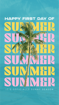 Summer Palm Tree Instagram reel Image Preview