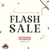 Anniversary Flash Sale Instagram post Image Preview