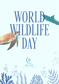 Aquatic Wildlife  Poster Design