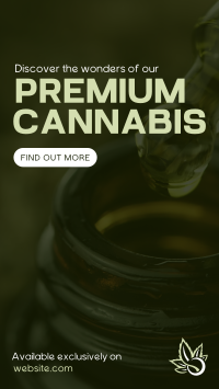 Premium Cannabis TikTok Video Image Preview