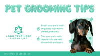 Pet Care Tips Animation Preview