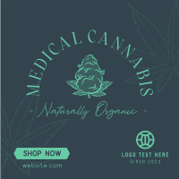 Cannabis Therapy Instagram post Image Preview