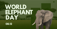 World Elephant Celebration Facebook Ad Design
