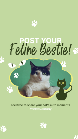 Cat Appreciation Post Facebook story Image Preview