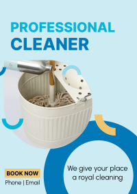 Professional Cleaner Poster Image Preview