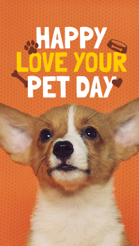 Wonderful Love Your Pet Day Greeting Video Image Preview