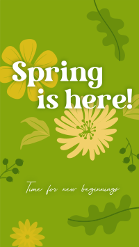 Spring New Beginnings TikTok Video Preview