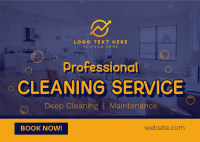 Professional Cleaning Service Postcard Preview