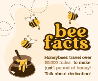 Honey Bee Facts Facebook Post Design