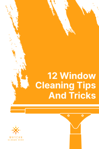 Filthy Window Cleaner Pinterest Pin Image Preview