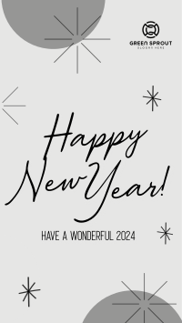 Wonderful New Year Welcome TikTok Video Image Preview