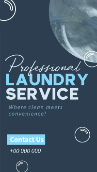 Professional Laundry Service TikTok Video Preview