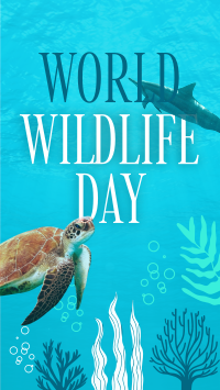 Aquatic Wildlife  Facebook Story Design