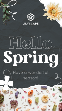 Hello Spring TikTok Video Design